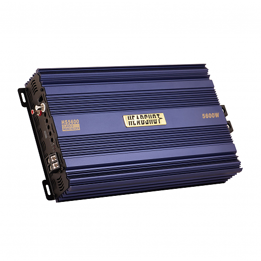 Автомобильный моноблок HS5600